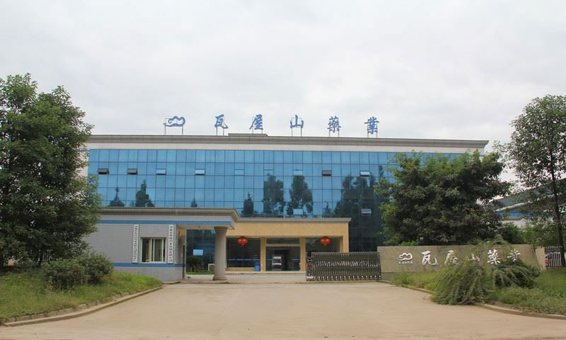 瓦屋山药业采购一台格瓦斯200KW上柴发电机组用于备用发电机